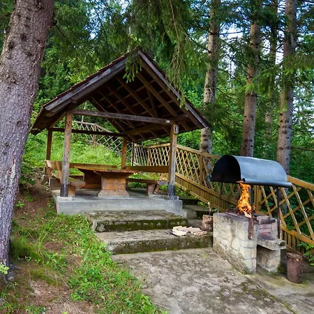 альпина