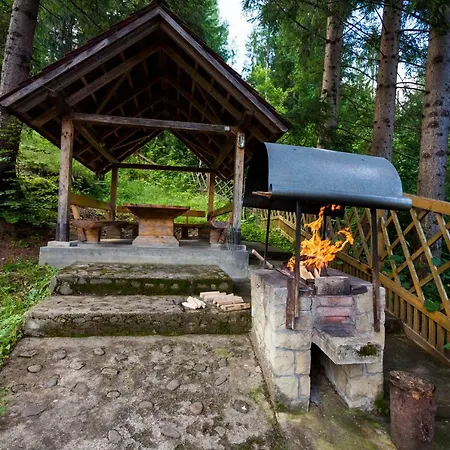 Inn альпина *