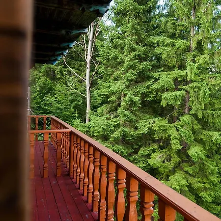 Inn альпина *